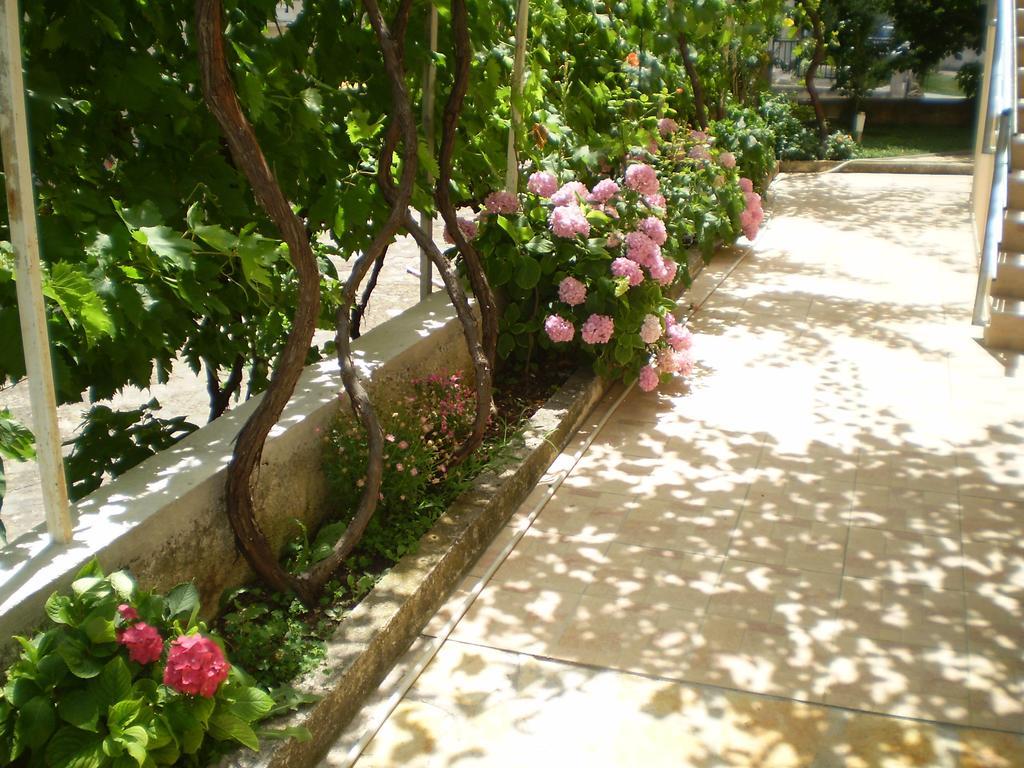 Apartments Tare, Free Parking Vodice Room photo